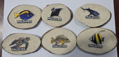 MAGNET FISH ASST W/WOOD SLICE